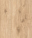 Galerie WW22219 The Woods and Wicker Forest Wood Effect Motif Beige Wallpaper WW22219 Beige Wallpaper