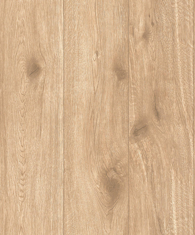 Galerie WW22219 The Woods and Wicker Forest Wood Effect Motif Beige Wallpaper WW22219 Beige Wallpaper