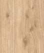 Galerie WW22219 The Woods and Wicker Forest Wood Effect Motif Beige Wallpaper WW22219 Beige Wallpaper