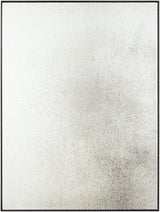 Livabliss Dean Daniel GAAN-001 40"H x 30"W x 1"D Mirror