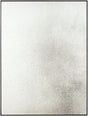 Livabliss Dean Daniel GAAN-001 40"H x 30"W x 1"D Mirror