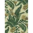 Kravet DESIGN 16313 3 Upholstery Fabric
