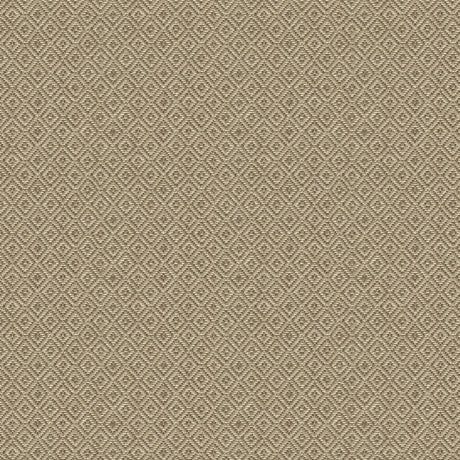 Lee Jofa PHOENICIA ORCHID Upholstery Fabric