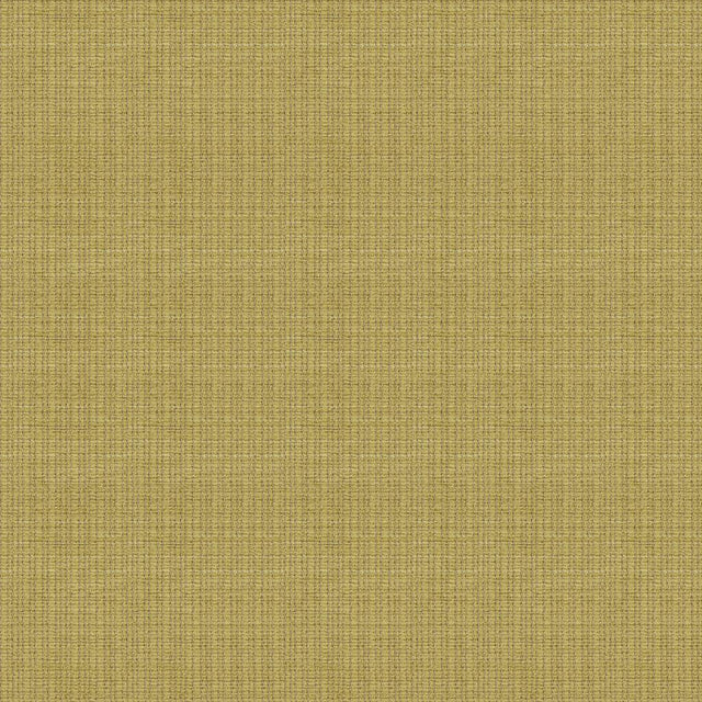 Lee Jofa JUDD CELERY Upholstery Fabric