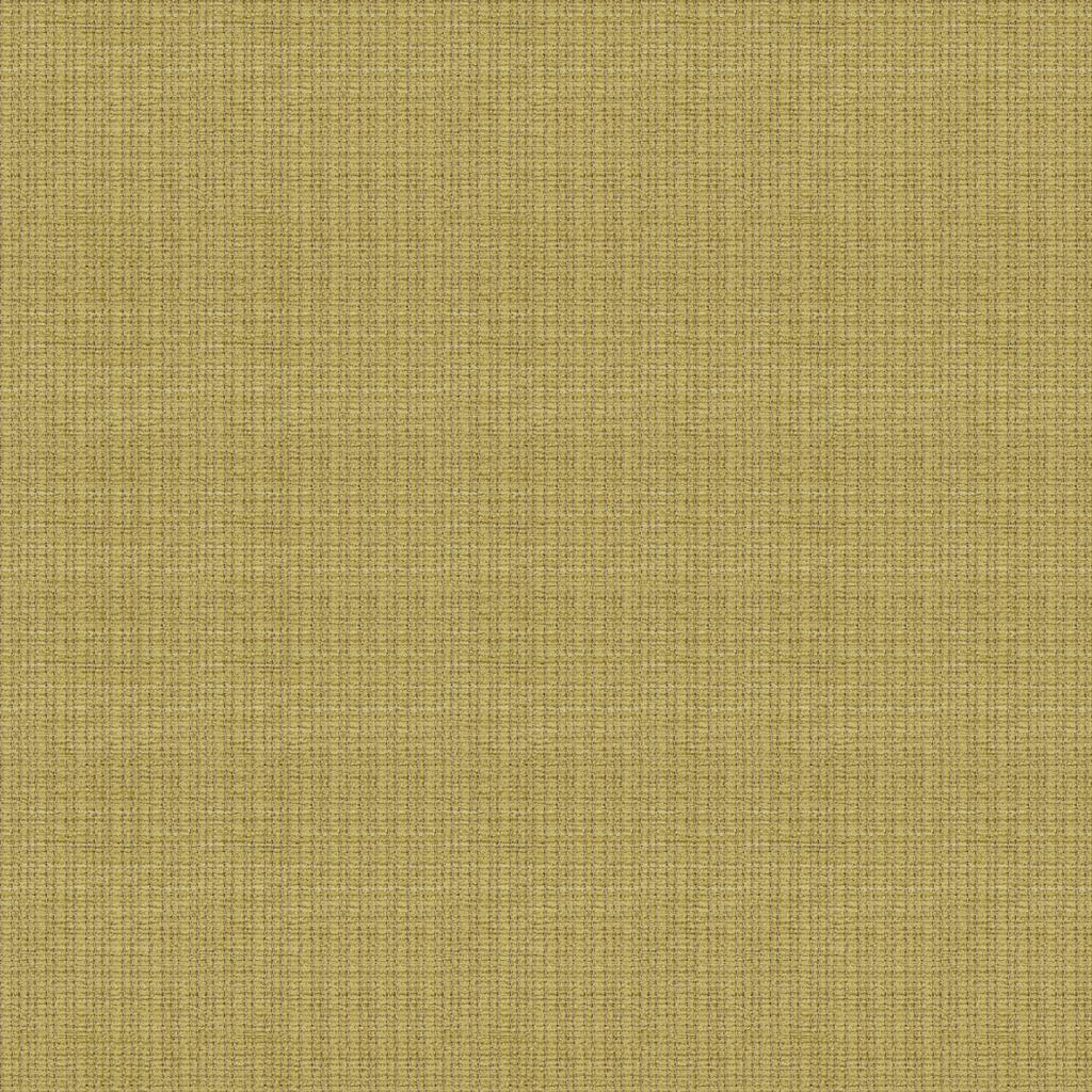 Lee Jofa JUDD CELERY Upholstery Fabric
