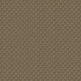 Kravet DESIGN 25807 106 Upholstery Fabric