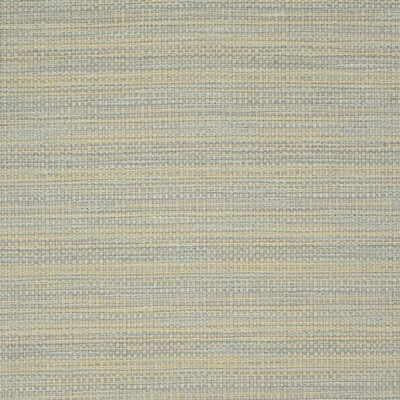 Kravet TRASK OPAL Fabric