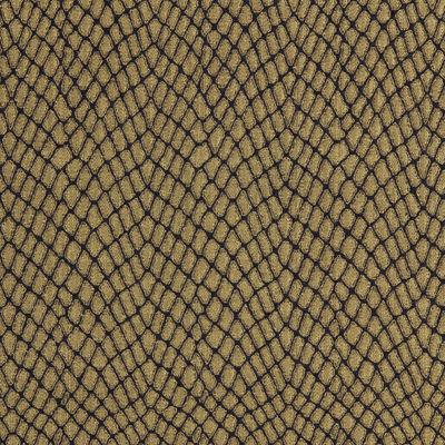 Kravet RHYTHM STONE Fabric