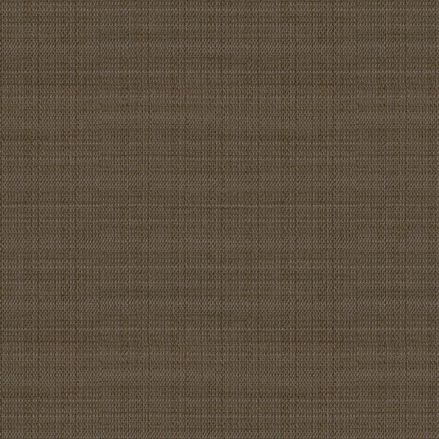 Kravet LIBBEY BISON Upholstery Fabric