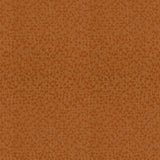 Kravet SHADOW DANCE PAPAYA Upholstery Fabric