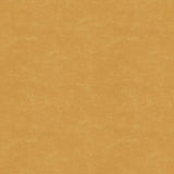 Kravet SHOOTING STAR CARAMEL Upholstery Fabric