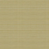 Kravet CAMPANIA KIWI Fabric