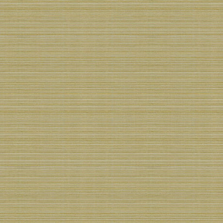 Kravet CAMPANIA KIWI Fabric