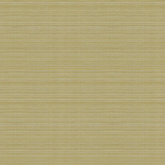 Kravet CAMPANIA KIWI Fabric