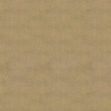 Kravet REUNION SANDSTONE Upholstery Fabric