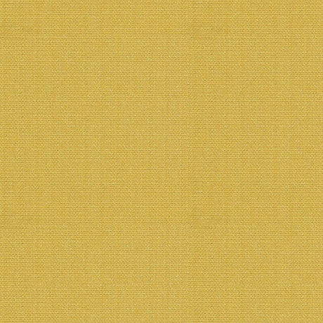 Kravet WINK SUNFLOWER Upholstery Fabric