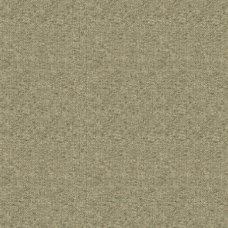 Kravet PARLA COBBLESTONE Upholstery Fabric