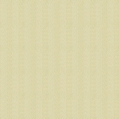 Kravet HARRISON PLATINUM Upholstery Fabric