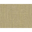 Kravet CONCEPTUAL CHARDONNAY Upholstery Fabric