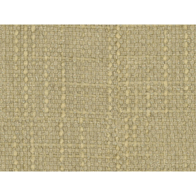 Kravet CONCEPTUAL CHARDONNAY Upholstery Fabric