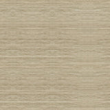 Kravet LIGHT AS AIR SHELL Drapery Fabric