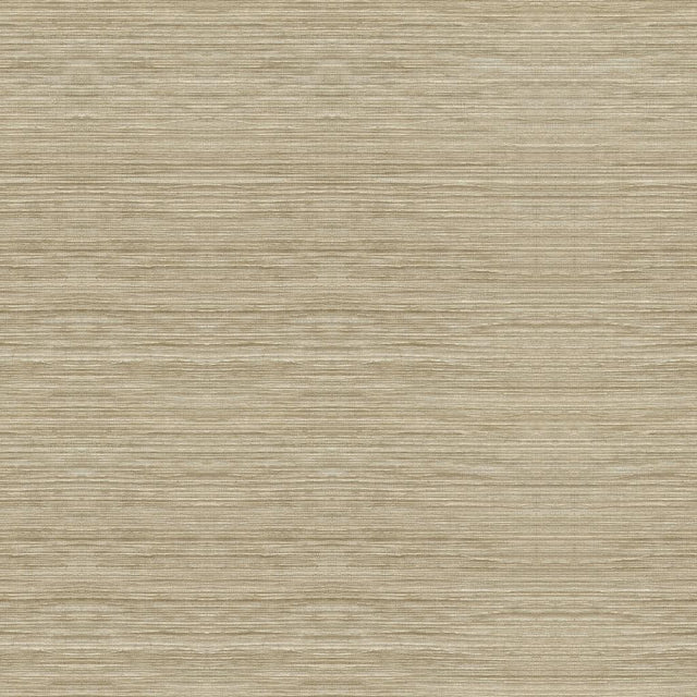 Kravet LIGHT AS AIR SHELL Drapery Fabric