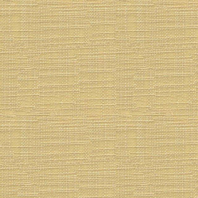 Kravet BASICS 3767 116 Drapery Fabric