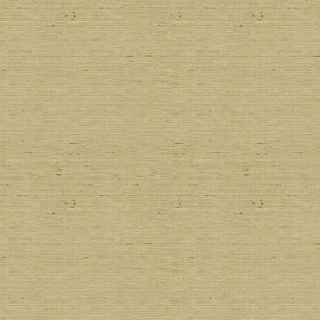 Kravet BASICS 3807 1616 Drapery Fabric