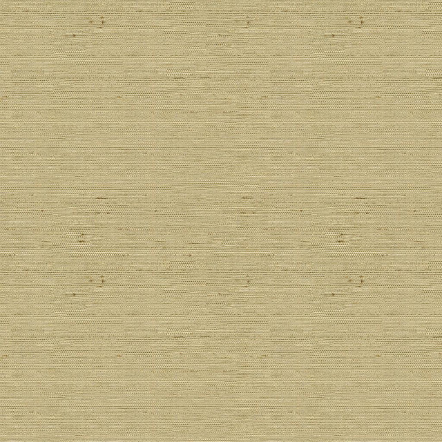 Kravet BASICS 3807 1616 Drapery Fabric