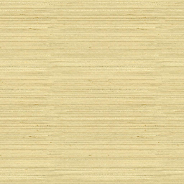 Kravet BASICS 3808 1116 Drapery Fabric