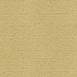 Kravet NESTING PROSECCO Drapery Fabric