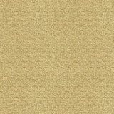 Kravet NESTING PROSECCO Drapery Fabric