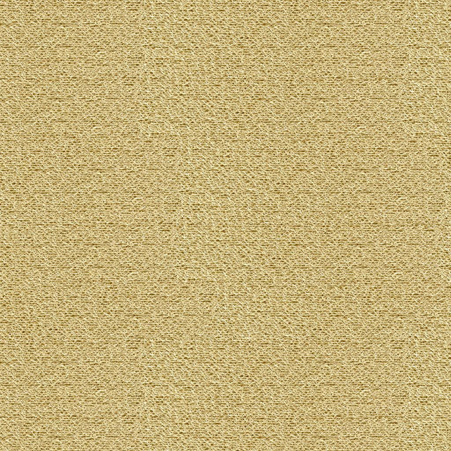 Kravet NESTING PROSECCO Drapery Fabric