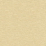 Kravet HIGH WATER SHELL Drapery Fabric