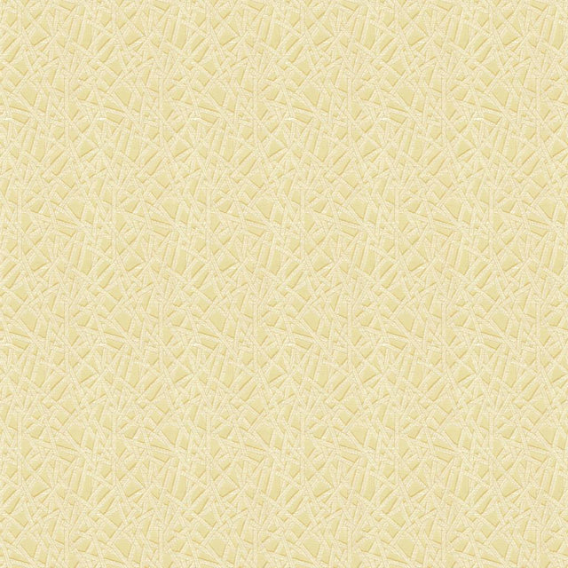 Kravet EMBARK SHELL Drapery Fabric