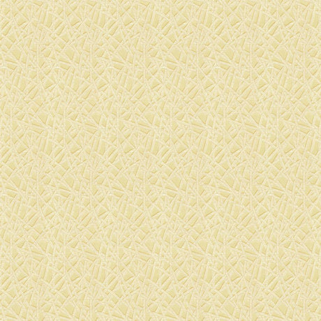 Kravet EMBARK SHELL Drapery Fabric