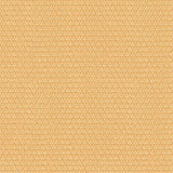 Brunschwig & Fils CHI TEXTURE BEIGE Upholstery Fabric