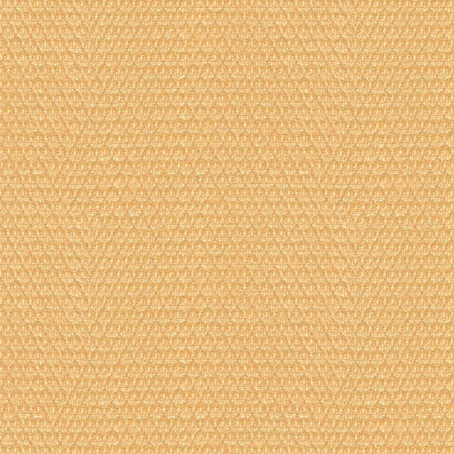 Brunschwig & Fils CHI TEXTURE BEIGE Upholstery Fabric