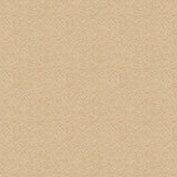 Kravet BASICS 9962 16 Drapery Fabric