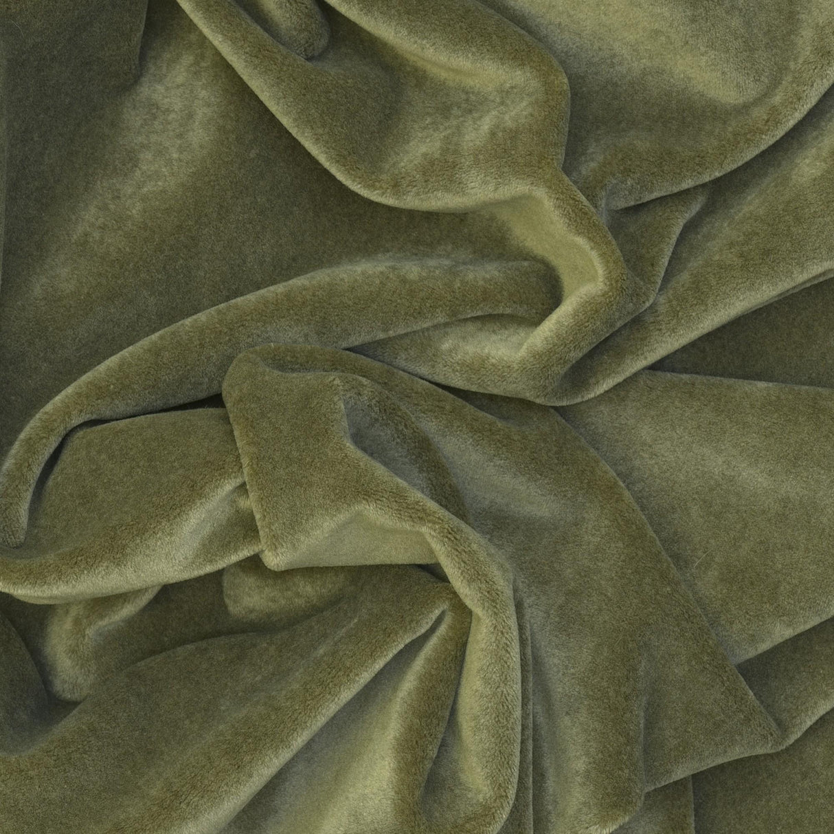 Andrew Martin VENETIA OLIVE Upholstery Fabric