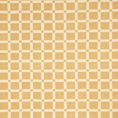 G P & J Baker PICNIC CHECK GOLD Fabric