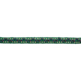 Brunschwig & Fils REVE DE PAPILLON 1/2 INCH BRAID EMERALD Trim