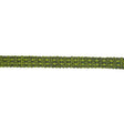 Brunschwig & Fils SPRING LAKE SMALL TAPE JUNGLE Trim