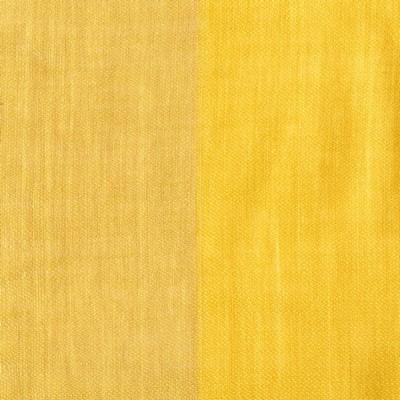 Donghia DEMI JOUR STRIPE BUTTERCUP Drapery Fabric
