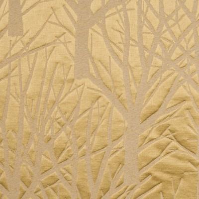 Donghia ALBERO BELLO GOLD Upholstery Fabric