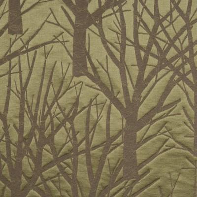 Donghia ALBERO BELLO GREEN Upholstery Fabric