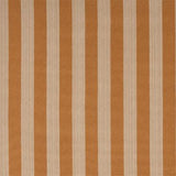 Donghia OXFORD STRAW Upholstery Fabric