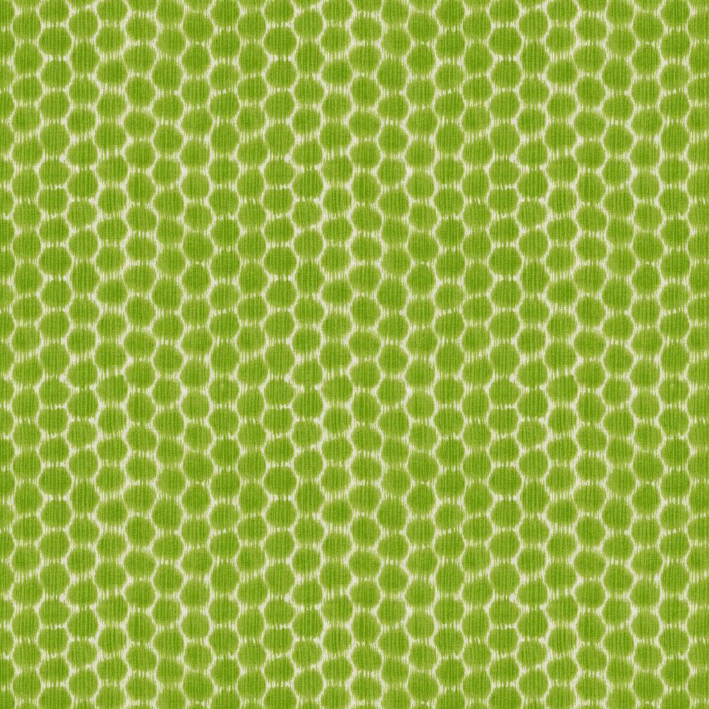 Kravet DOTKAT GLADE Fabric