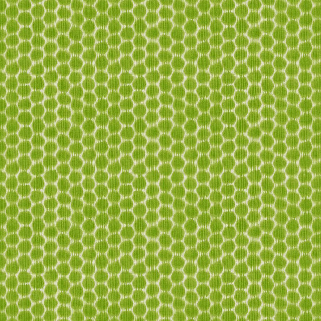 Kravet DOTKAT GLADE Fabric