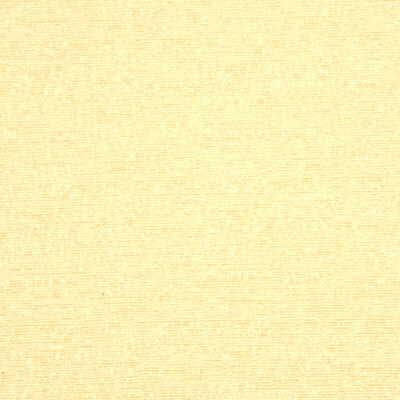 Threads AVARON CHAMPAGNE Fabric